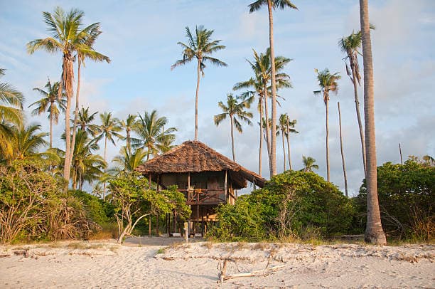 Saadani National Park & Mikumi